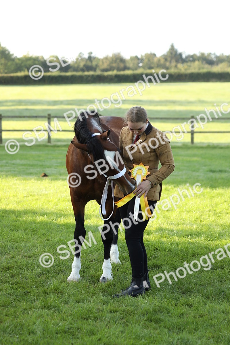 SBM_57979 - S42 - Youngstock