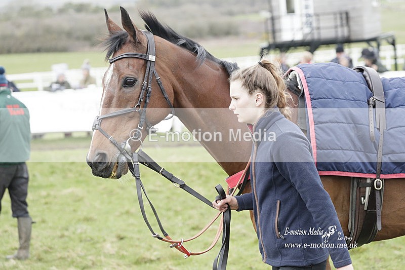 PtP 260323 0539 - New Forest Hounds Point-to-Point Larkhill 26/03/23