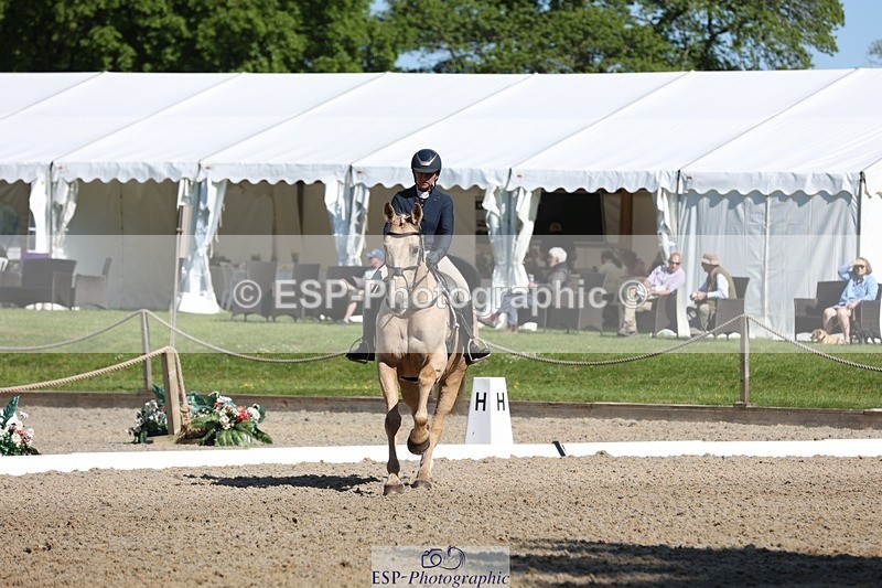 230526-093657-05107 - 356-THE_DUMB_BLONDE-Kat_Raybould-WEDTrotUp+DR