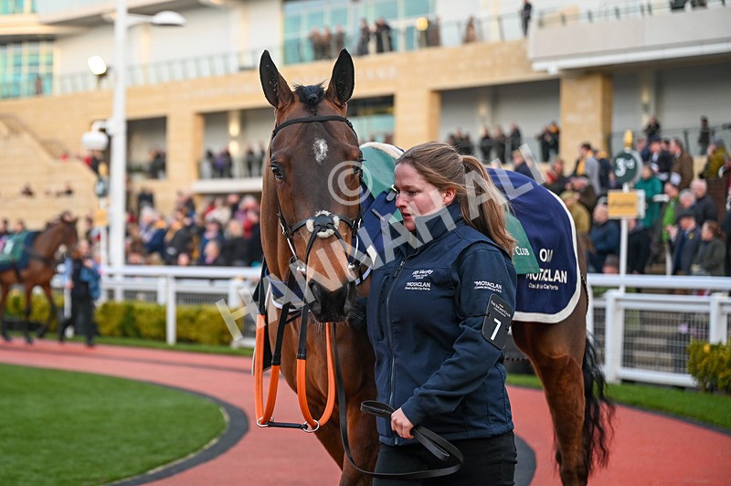 250125-Race 7-Wade Out-3740 - Race 7