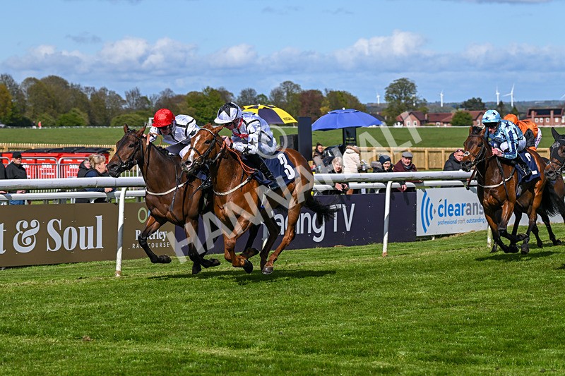 250424-Race 4-Classy Boy-1315 - Race 4