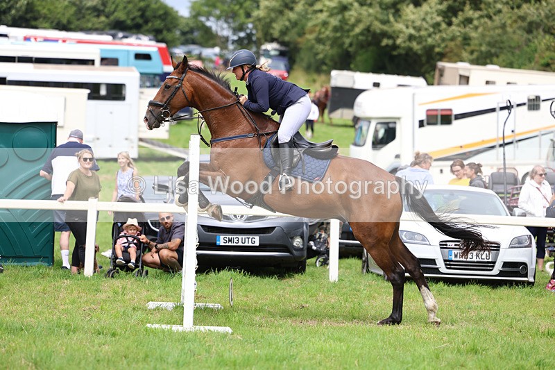3E7A7312 - Class 5: Senior British Novice/90cm open