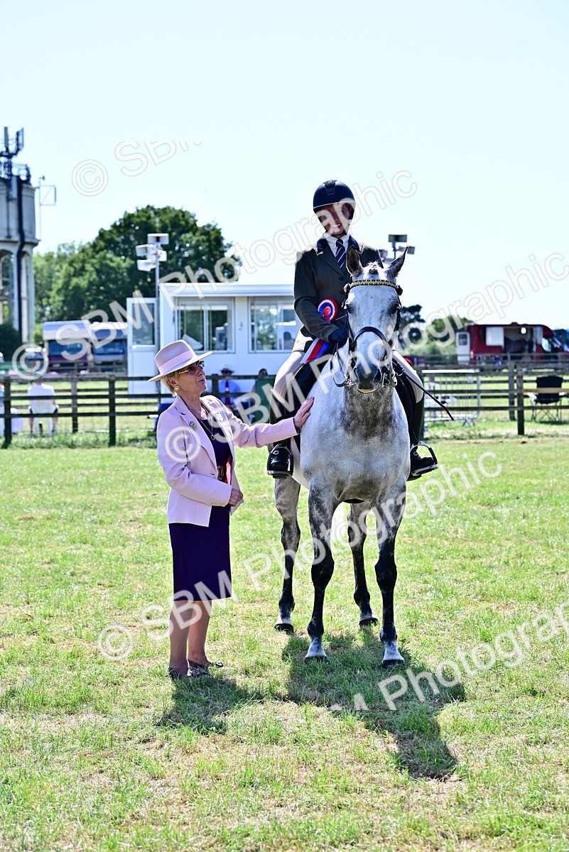 SBM_18282 - Class 99-100 - Retraining of Racehorses Ridden