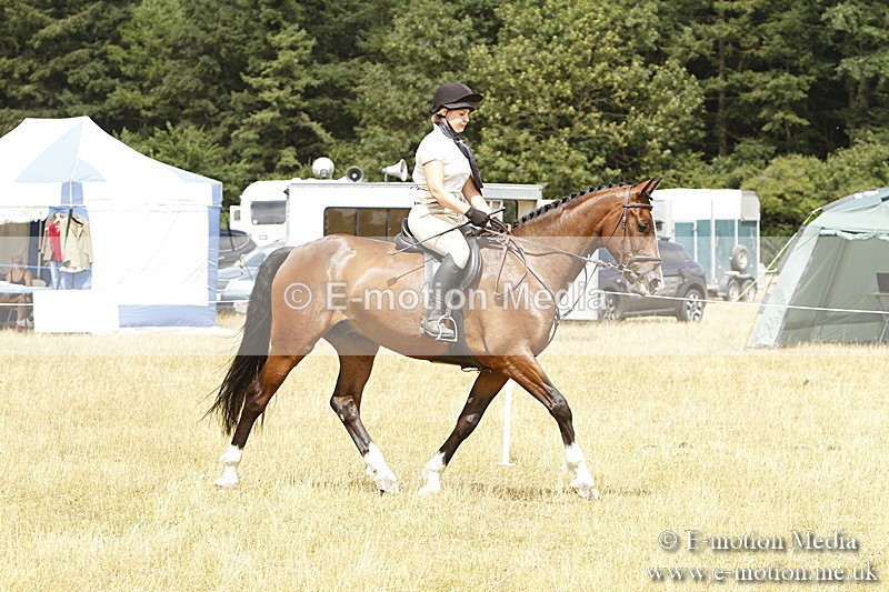 _BS_1002 - Working Hunter Championship BVRC Show 2018