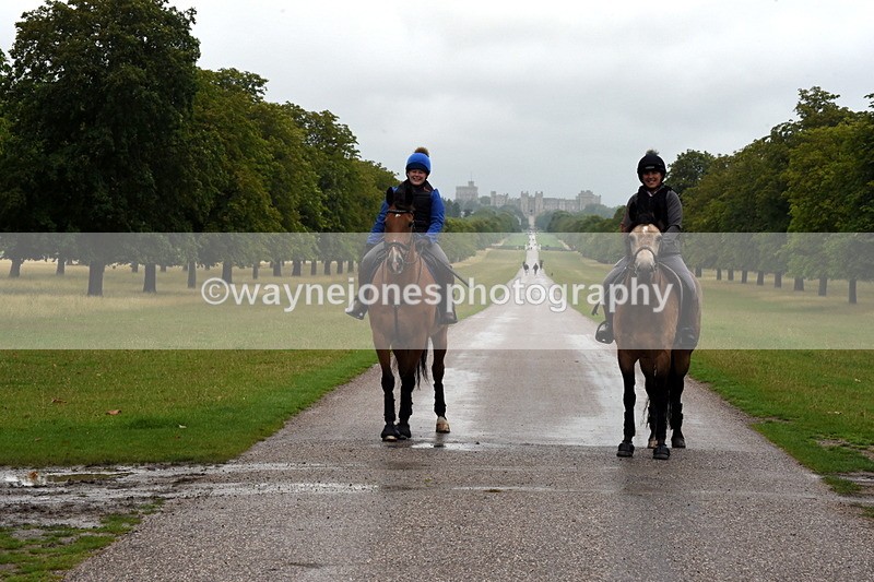 TT3_8167 - Time at Crossing 09:15 to 10:15