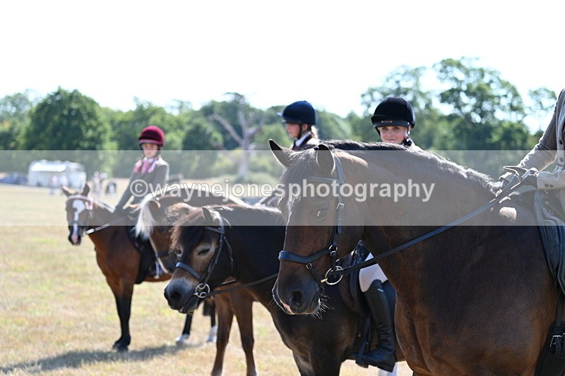 WJ7_3794 - Class 9 Mountain & Moorland Ridden