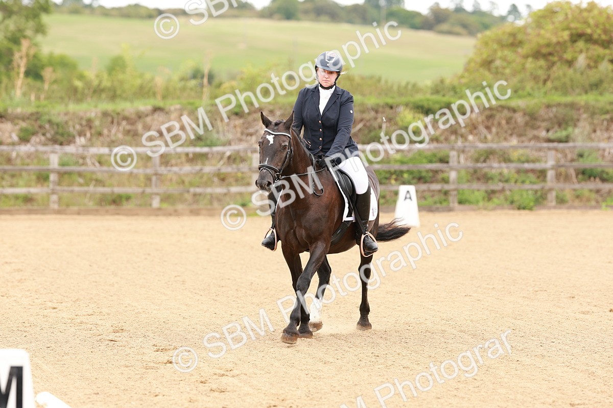 SBM_001042 - Intro 2