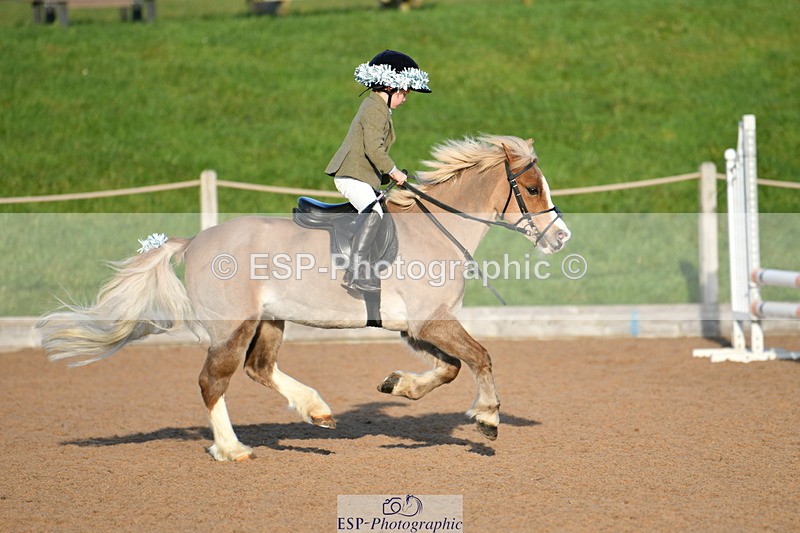 231202A-140605-01695 - Cls 03 60cm