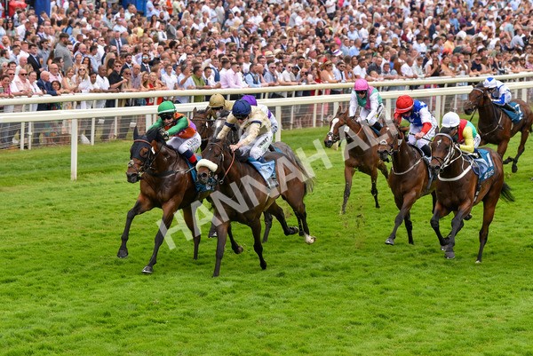 170623-Race 4-Quinault-7090 - Race 4 3.40pm Oakmere Homes Supporting Macmillan Sprint Handicap