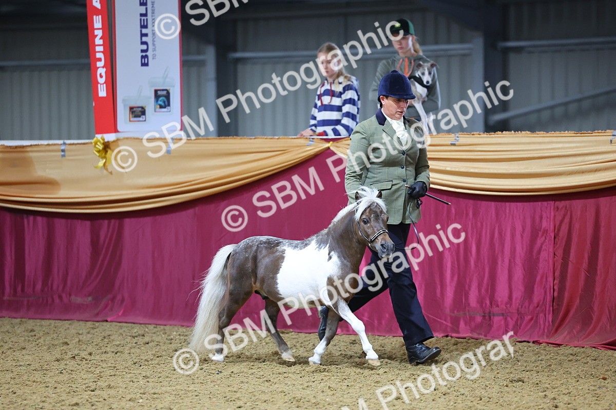 SBM_22817 - Class 903 - Supreme Final - IH Pre Vet