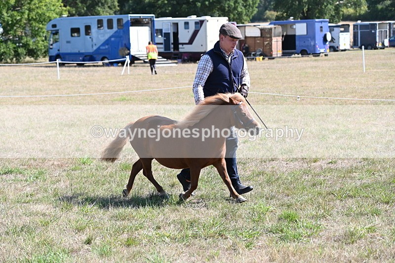 WJ6_4616 - Class 17 Mountain & Moorland