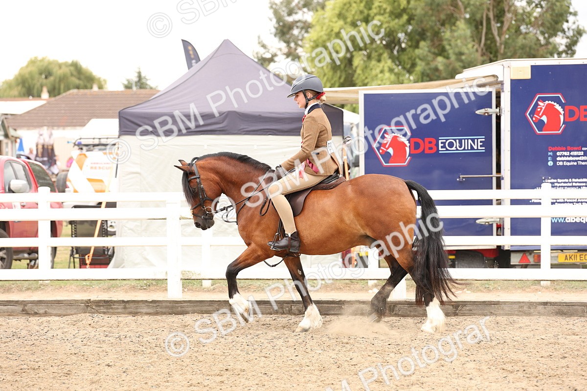 SBM_06290 - Class 57b -  Style & Performance - 60cm (20+)