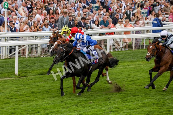 270724-Race 1-Alflaila-4686 - Race 3 3.15pm Sky Bet York Stakes