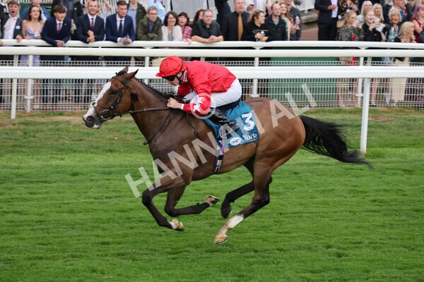 yr22072022r6-15 - Race 6 7.50pm Gallop Racing Stakes