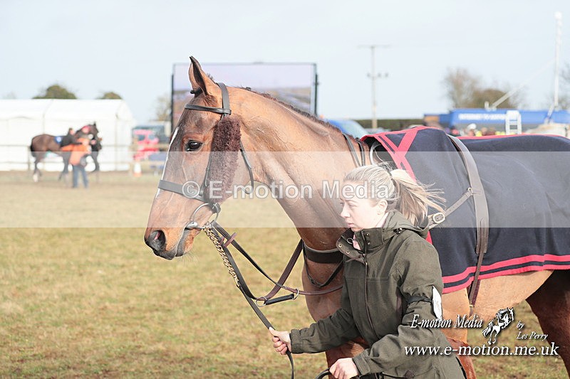 PtP 210124 357 - Cocklebarrow Races Point-to-Point 21/01/24