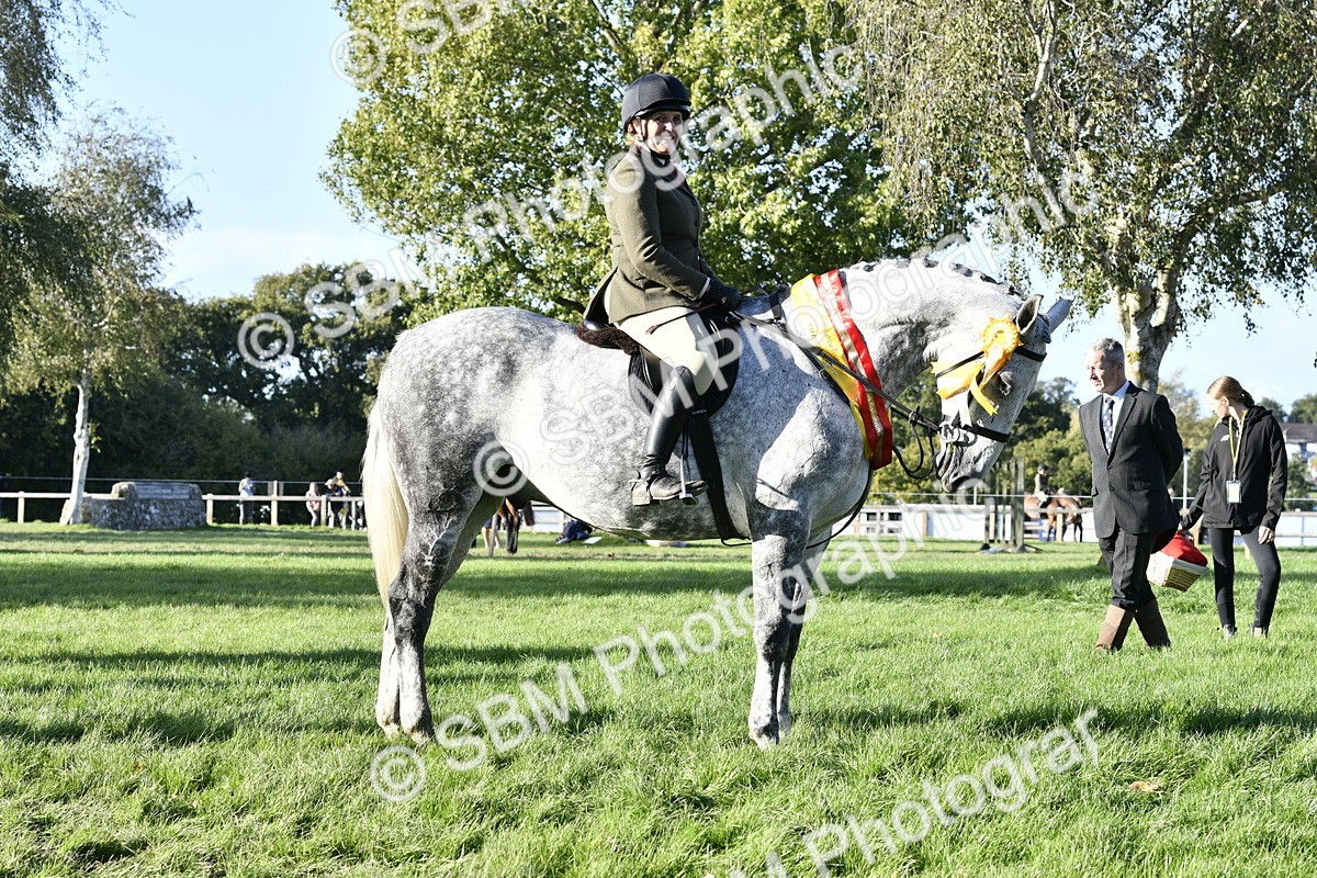 SBM_51739 - Working Hunter Supreme Championship