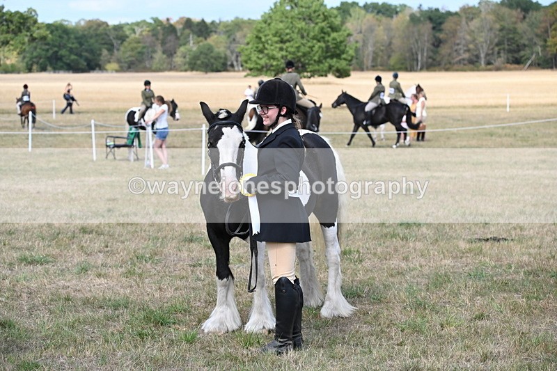 WJ6_6760 - Class 20 In-hand Cob