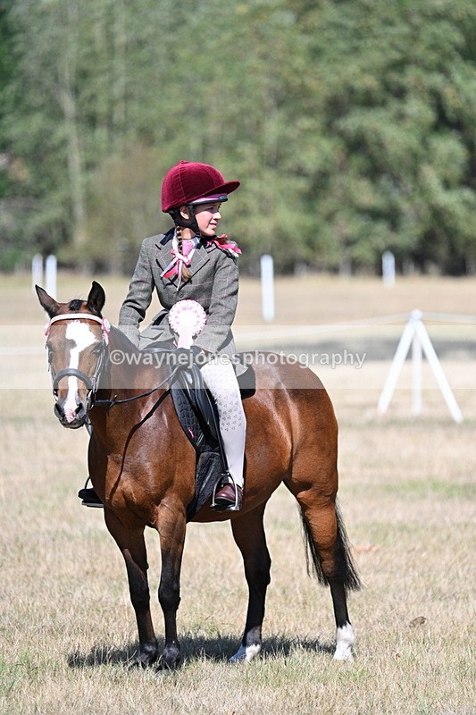 WJ7_4204 - Class 9 Mountain & Moorland Ridden