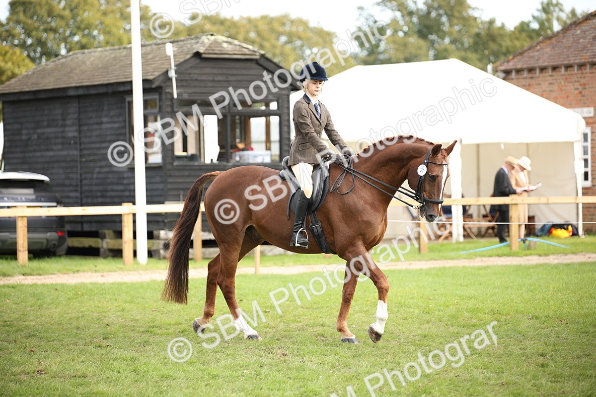 SBM_54241 - S27 - Mature Veteran - Ridden