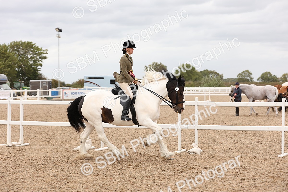 SBM_19752 - Class 216 - Ridden Traditional - Native Cob