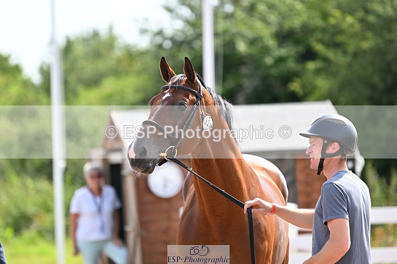 240717A-152933-02844 - Trot Up 3pm to 4pm