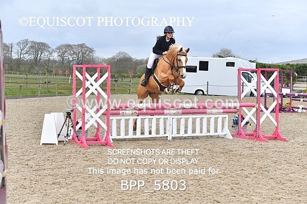 BPP_5803 - CLASS 24 SUN Senior British Novice/ 90cm Open