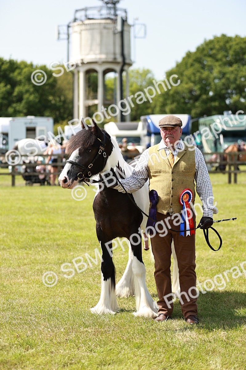 SBM_04288 - Class 39-40 - BSPA Coloured In Hand