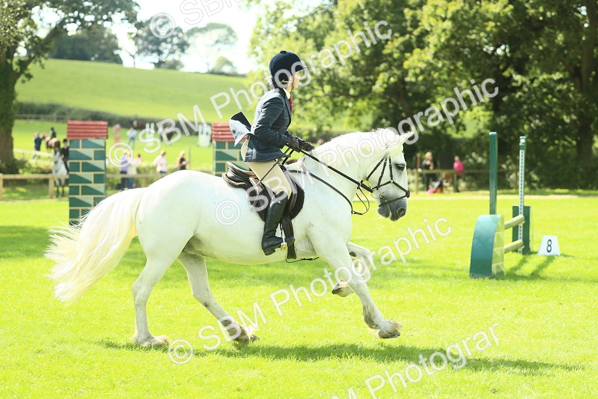 SBM_42924 - S30 - M&M Working hunter Pony