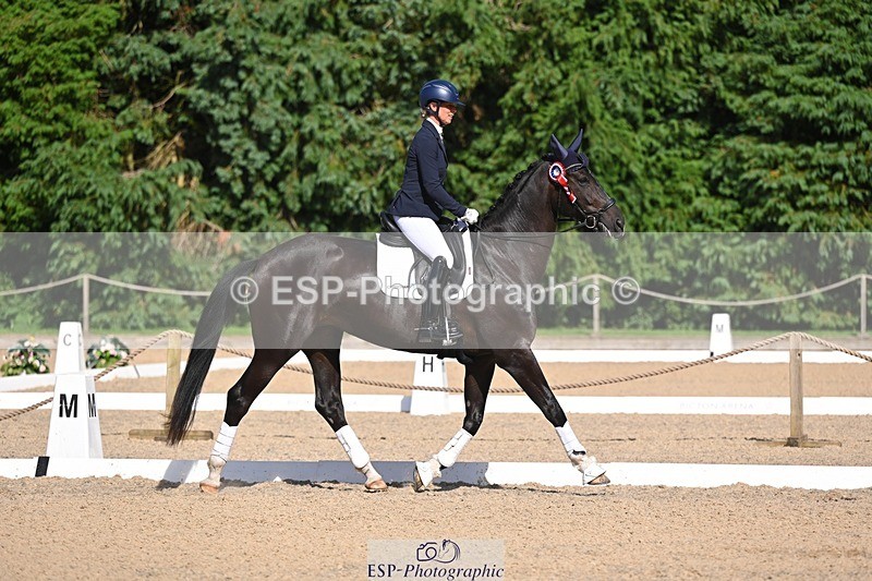 240809-163643-02436 - Novice Gold