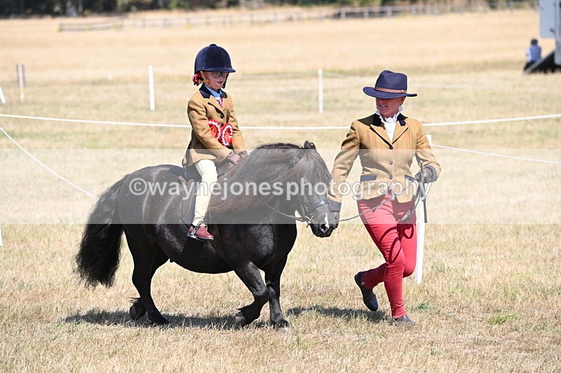 WJ6_9139 - Championship Classes 33-38