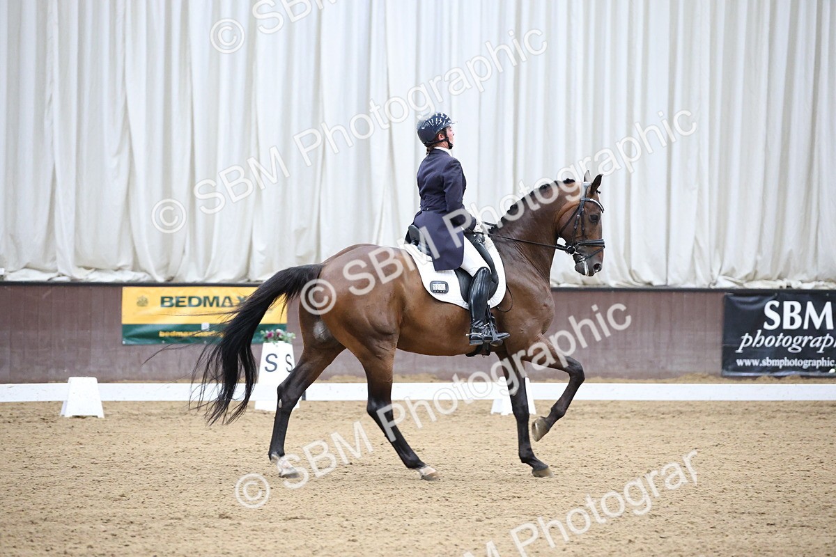 SBM_004529 - Class 9 - FEI Inter 1 Gold - 15.55-16.43