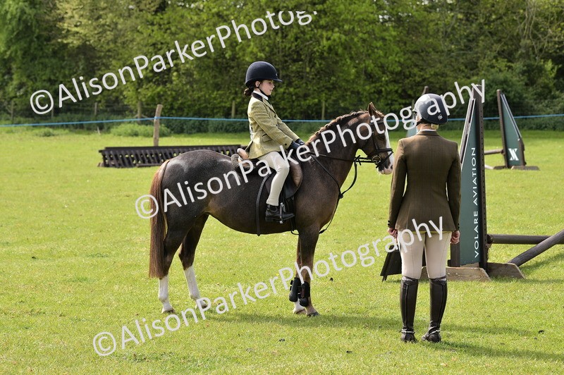 20260426-2262 - Class 20 - Beginner Working Hunter