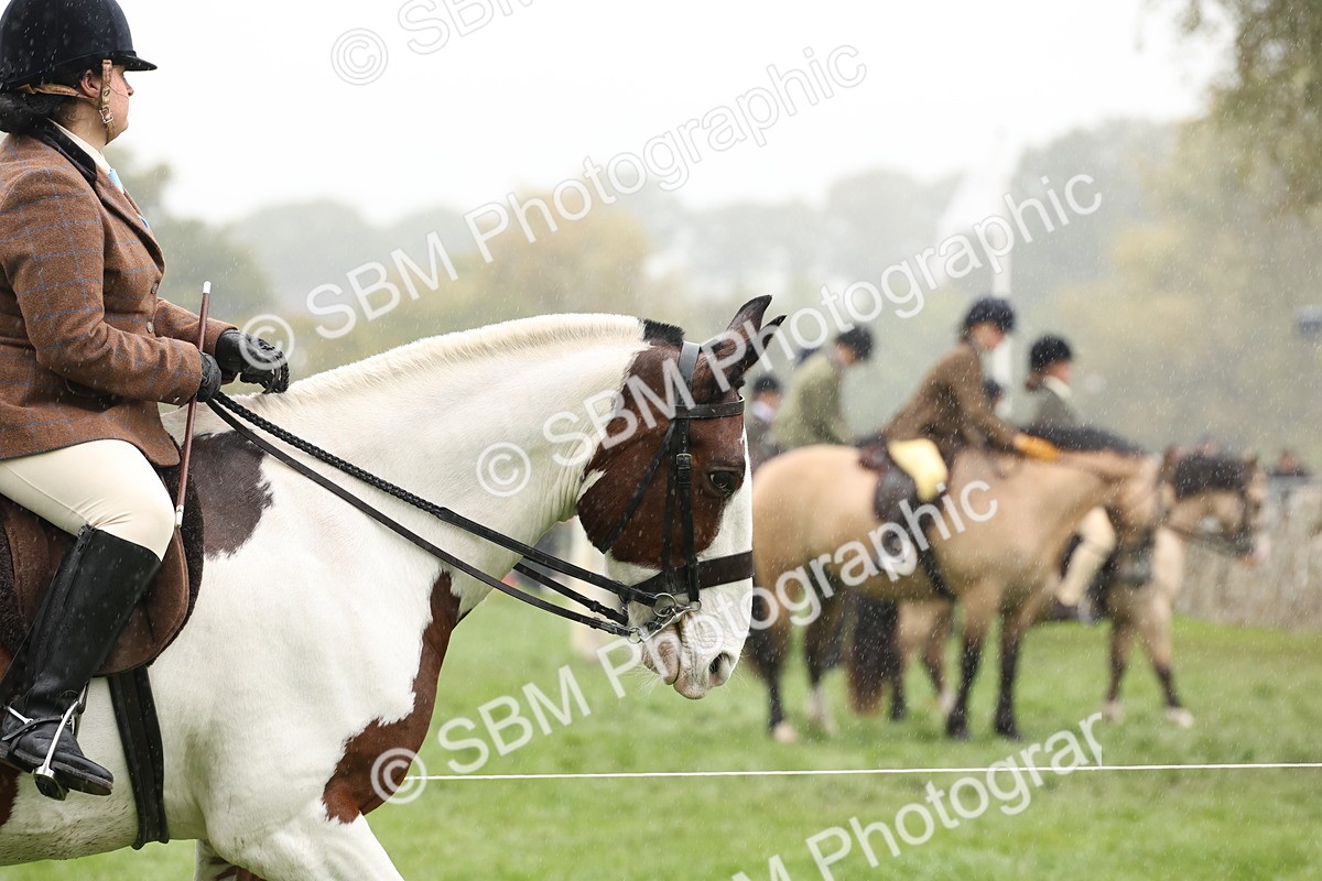 SBM_69779 - S69 - Show Cob Ridden