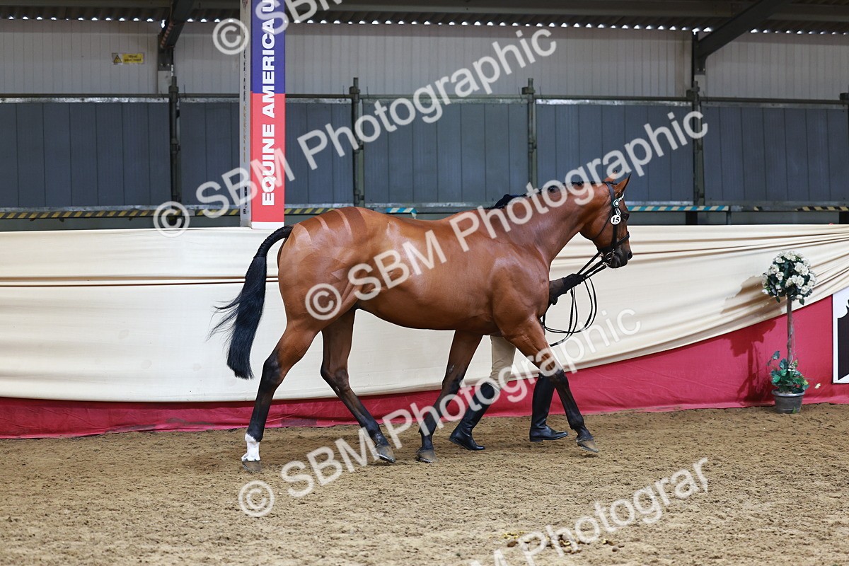 SBM_23204 - Class 903 - Supreme Final - IH Pre Vet