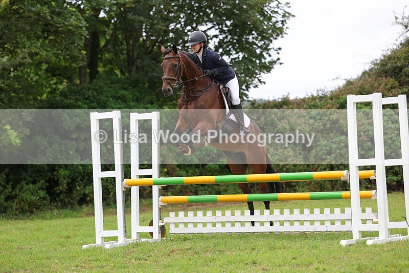 3E7A7261 - Class 5: Senior British Novice/90cm open