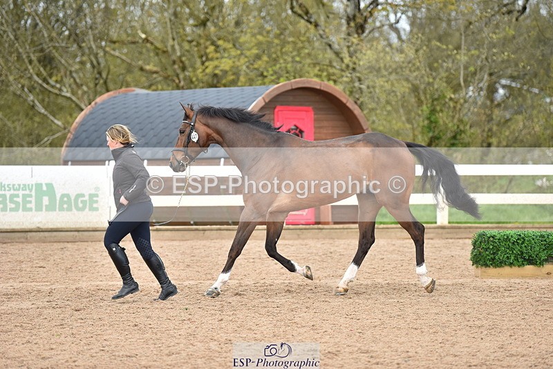 240417A-145454-00663 - 2pm to 3pm