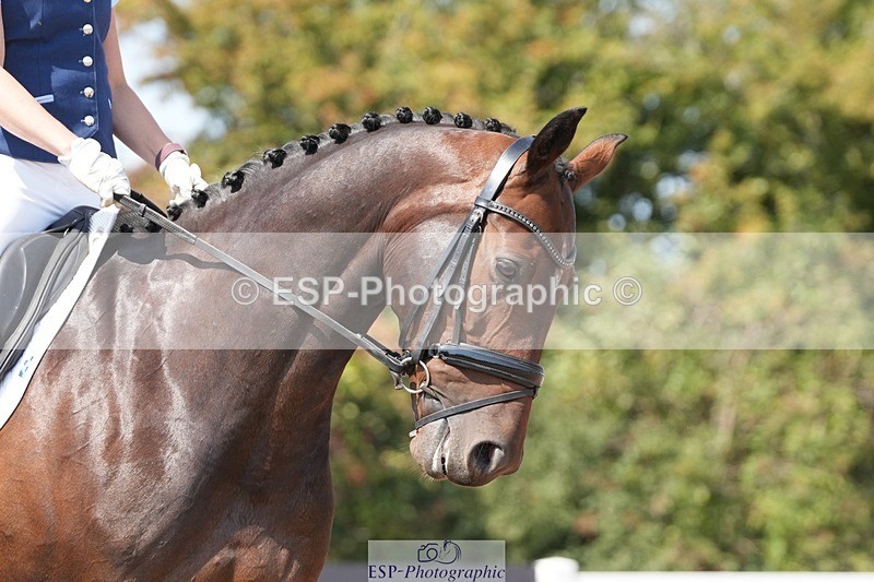 250817-125851-09538 - 052-Marcela.PomphreyLinkeltje.DE.J