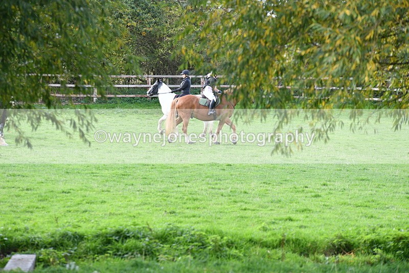 WJ5_8338 - Time 12:02 to 12:32