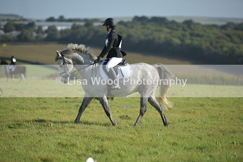 RAY_7368 - Class 2B: Trekenning Open: Dressage