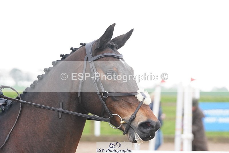 250419-120312-09562 - 522-Eliza.Weekes-BELLA.BE.COOL