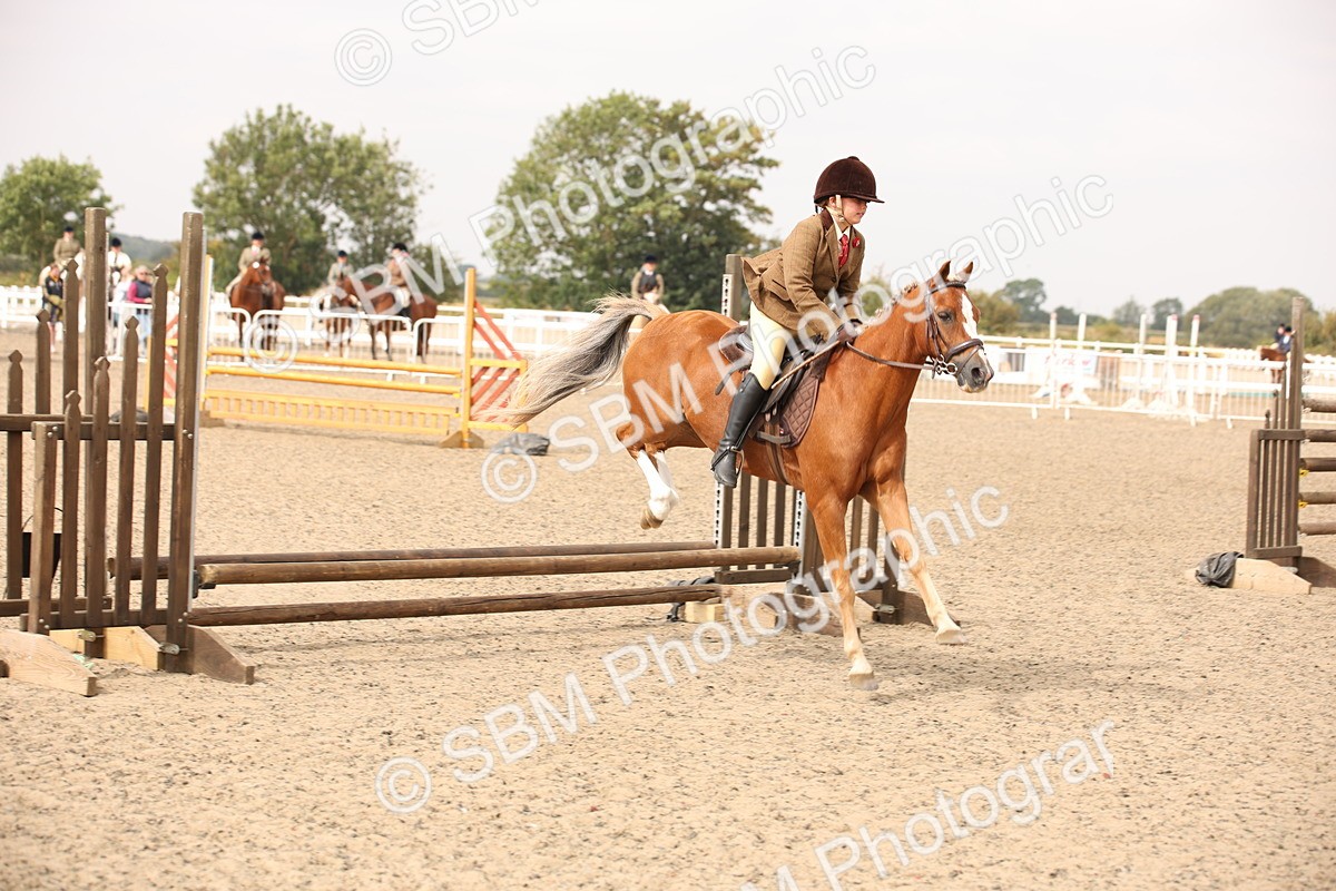 SBM_12625 - Class 405b - M&M Working Veteran 50cm 20+