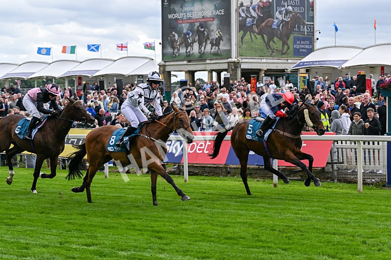 130626-Race 1-Dunkeld Dreamer-0548 - Race 1 13.50pm Queen Mother's Cup Handicap