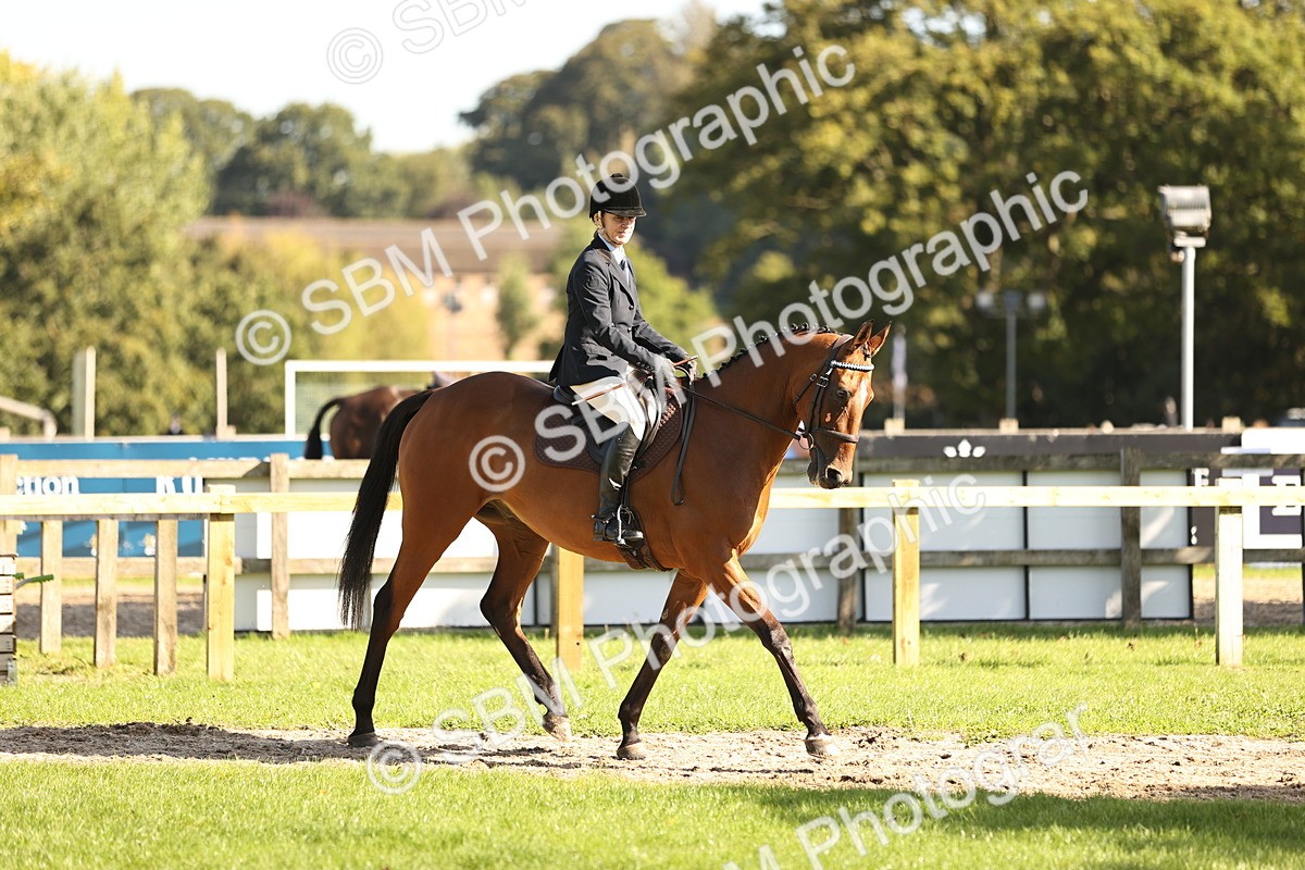 SBM_16944 - S2 - TSR Ridden Pony Showing
