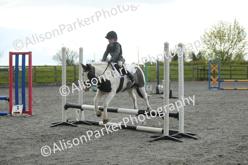 20260412-1959 - Show Jumping