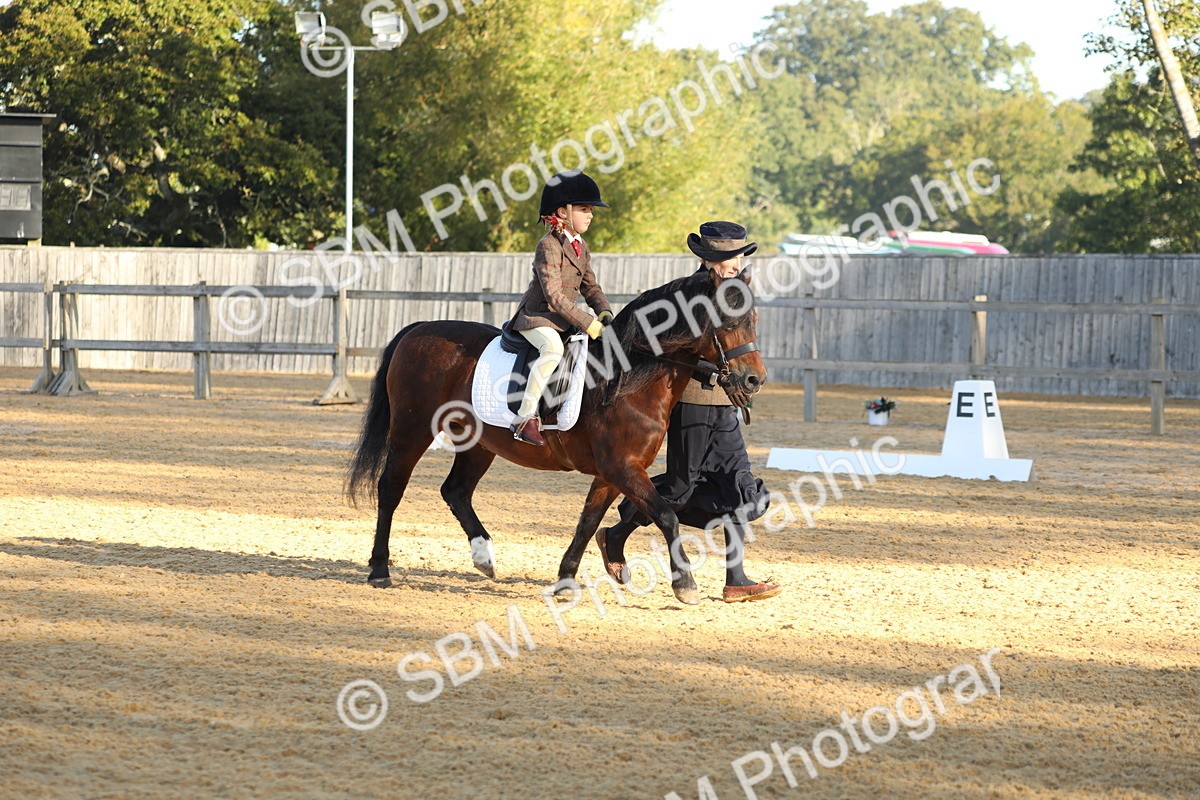 SBM_33665 - D26 - Starers - Lead Rein