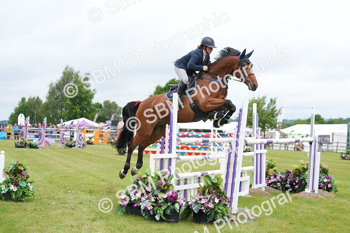 SBM_03163 - Class 201 - British Horse Feeds Speedi Beet Horse of the Year Show Grade  C