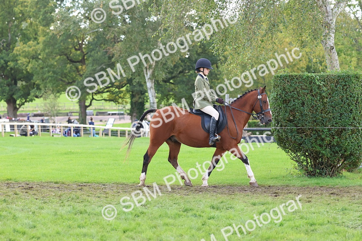 SBM_47631 - S28 - Veteran Ridden