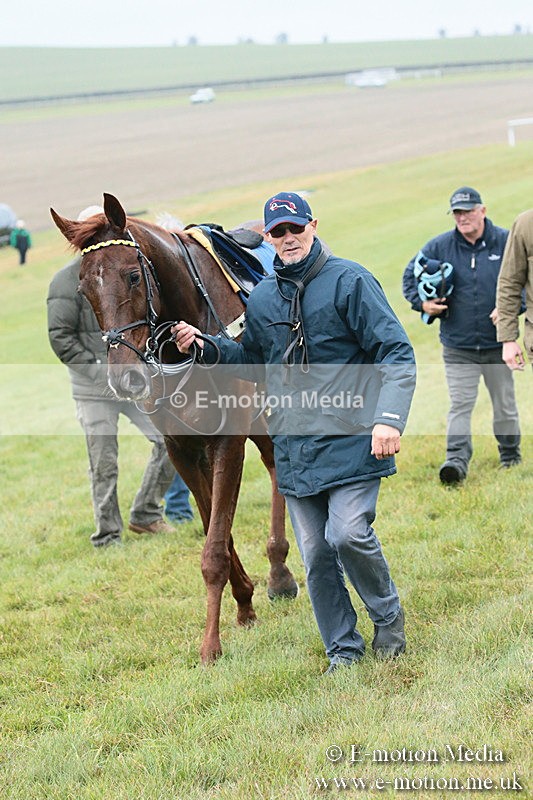 PtP 251118-191 - Vine & Craven Point-to Point Barbury Racecourse 25/11/18