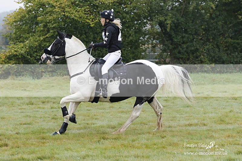 WWHT 171021 0519 - Novice Restricted (0.80m)  17/10/21