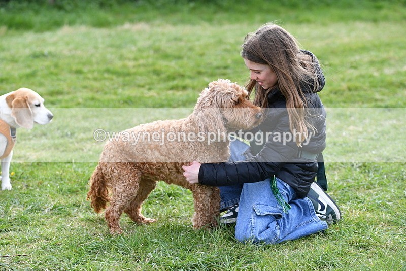 WJ5_0188 - Class 5 Best Veteran / 7 years & over